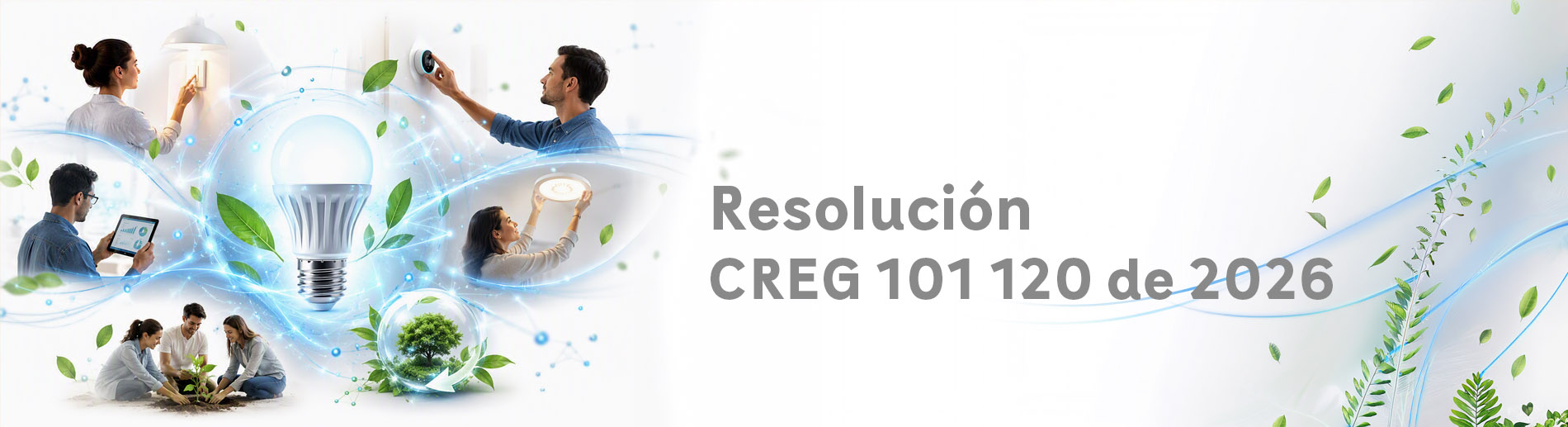 Banner creg 101 120639226640624082897